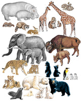 Wild Animals
