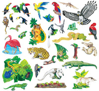 Rain Forest Animals