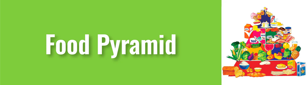 Fuel Young Minds: An Interactive Journey Through The Food Pyramid
