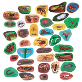 Creepy Crawlers