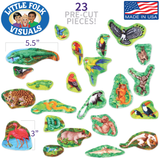Jungle Animals
