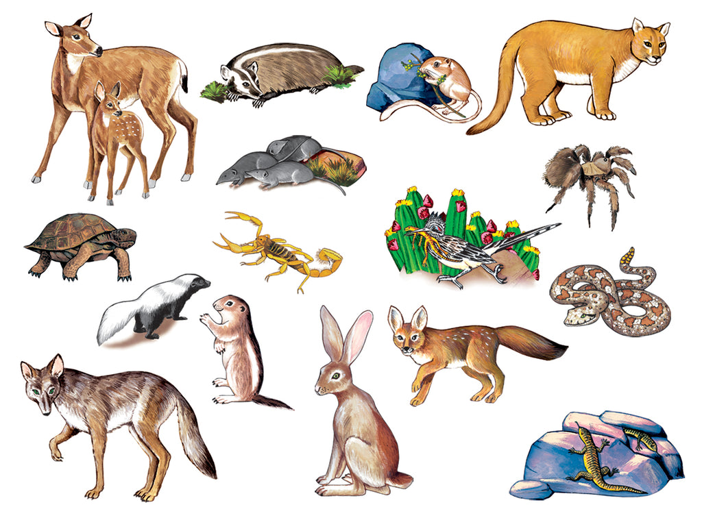 Desert Animals | Little Folk Visuals/Betty Lukens